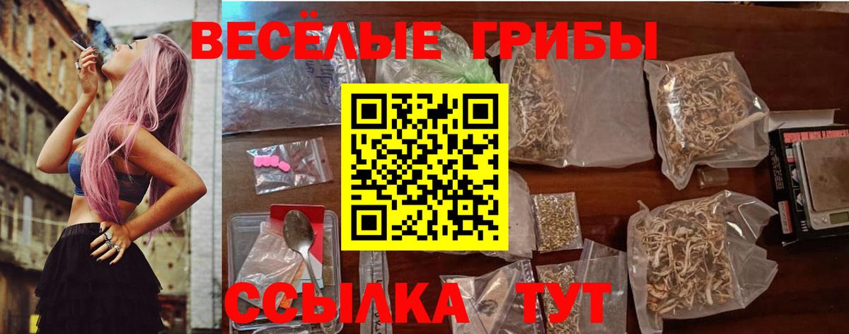 продажа наркотиков  Вход с VPN  Благодарный  Галлюциногенные грибы Psilocybe 